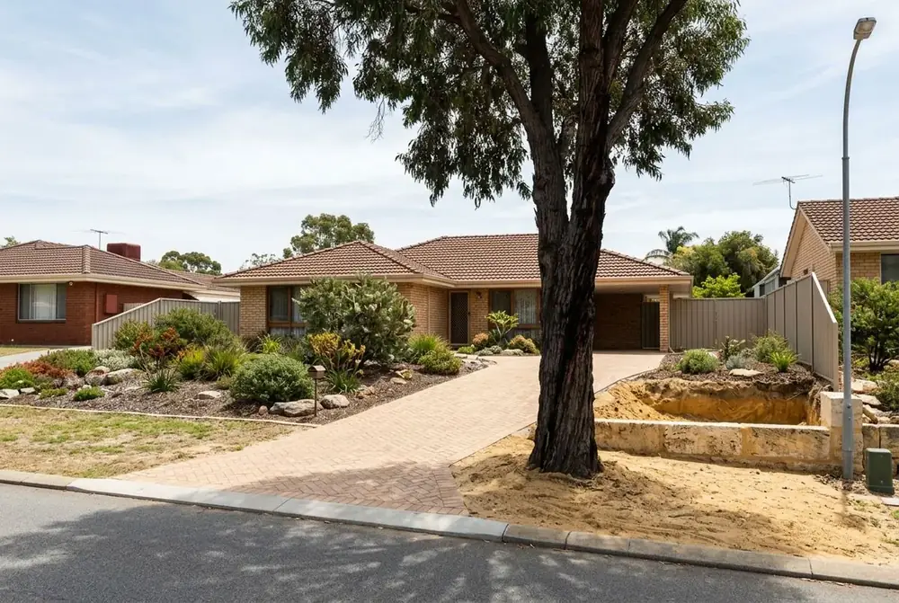 Herringbone brick driveway offset from a mature street tree at a 1970s home in Padbury, Perth by IBP Paving